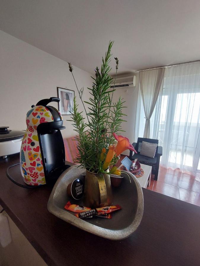 Casa Al Mare Petrovac, Montenegro エクステリア 写真